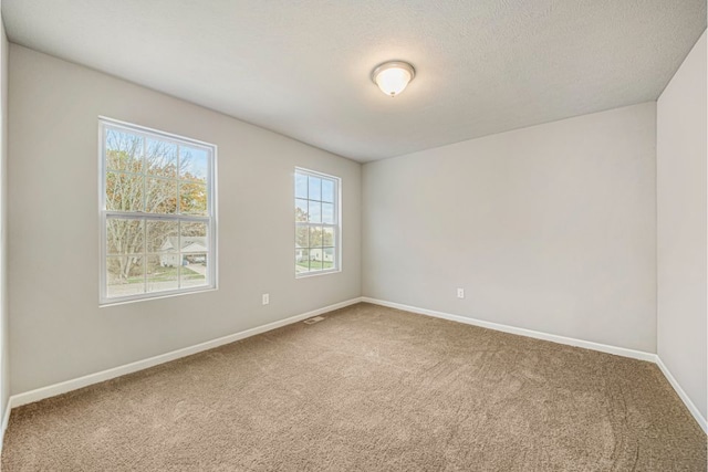 spare room with carpet flooring and a textured ceiling