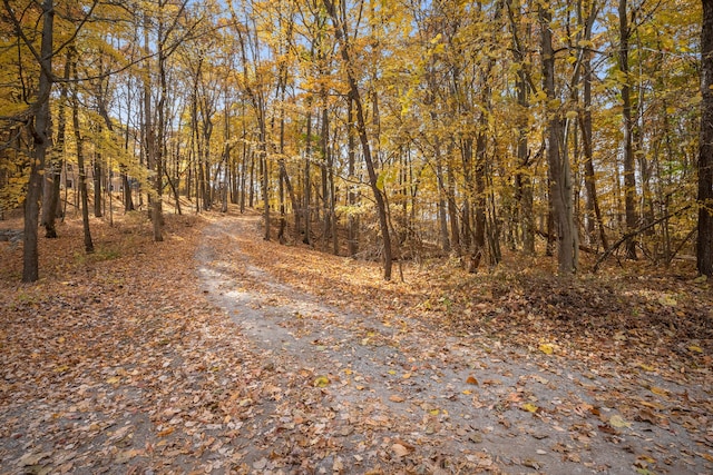 view of road