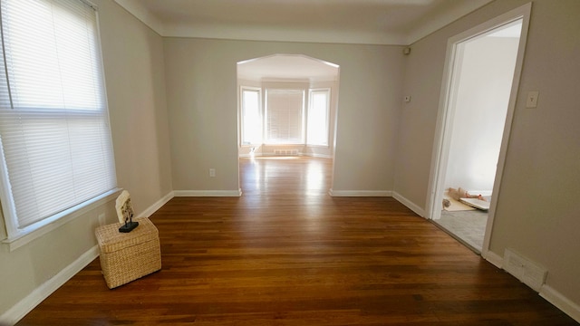 hall featuring a wealth of natural light and dark hardwood / wood-style flooring