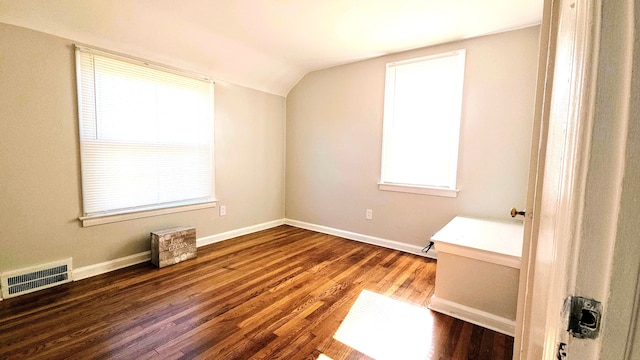 interior space featuring vaulted ceiling, plenty of natural light, and dark hardwood / wood-style flooring