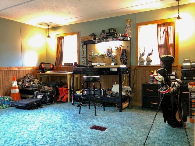 miscellaneous room featuring carpet floors and wooden walls