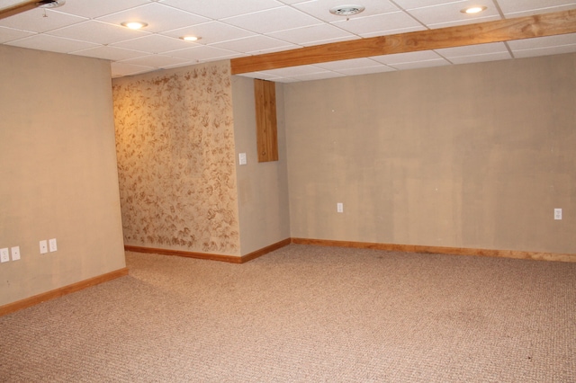 basement with a drop ceiling and carpet