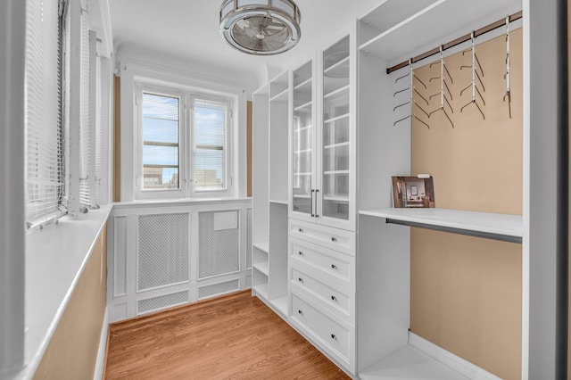 walk in closet featuring light hardwood / wood-style flooring