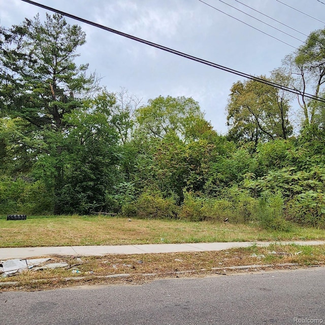 17609 Trinity St, Detroit, MI 48219 - photo 1