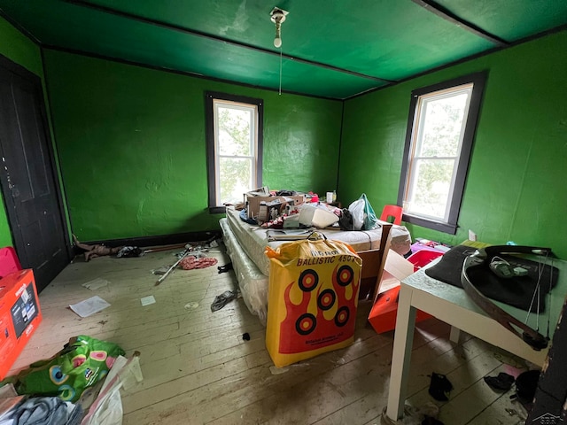 miscellaneous room featuring plenty of natural light and light wood-type flooring