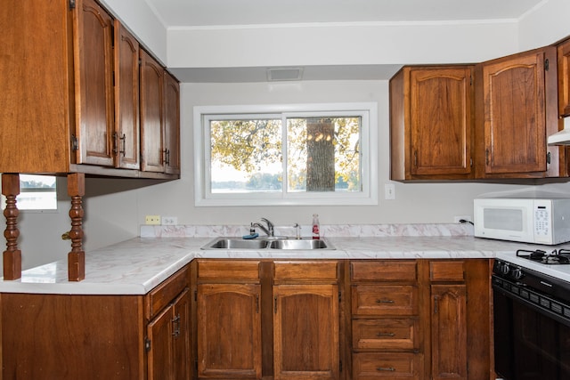 kitchen with sink, crown molding, and gas stove