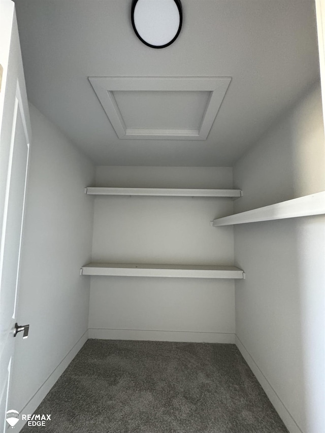 walk in closet with attic access and dark colored carpet