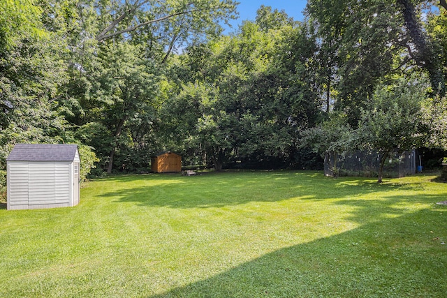 view of yard featuring a storage unit