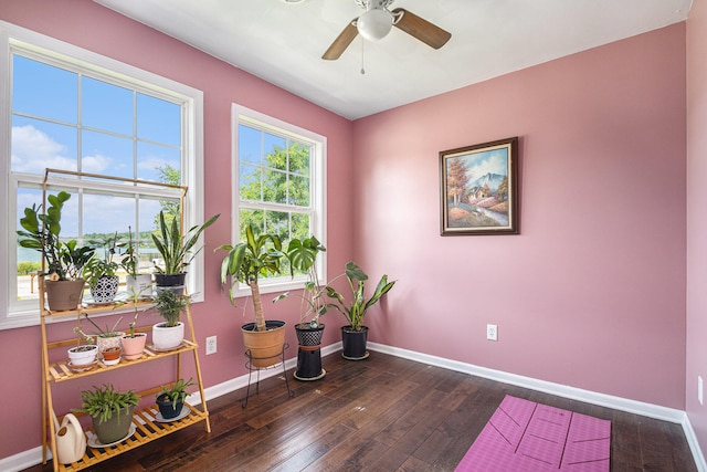 interior space featuring ceiling fan and dark hardwood / wood-style flooring