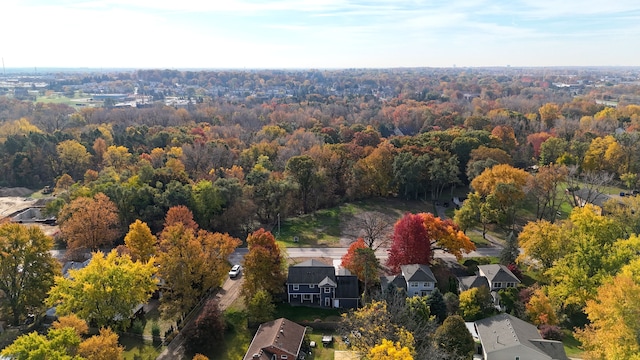 bird's eye view