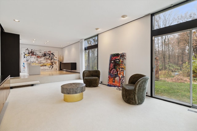 interior space featuring a wall of windows and carpet floors