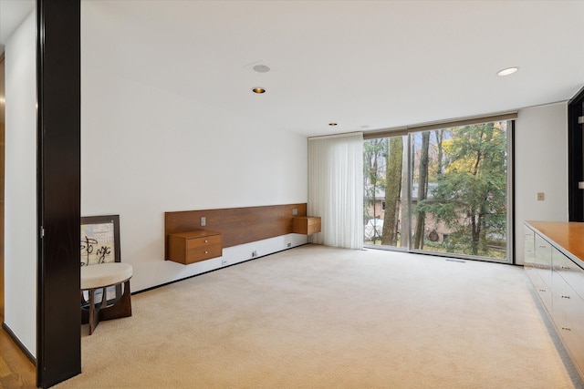 sitting room with light carpet and a wall of windows