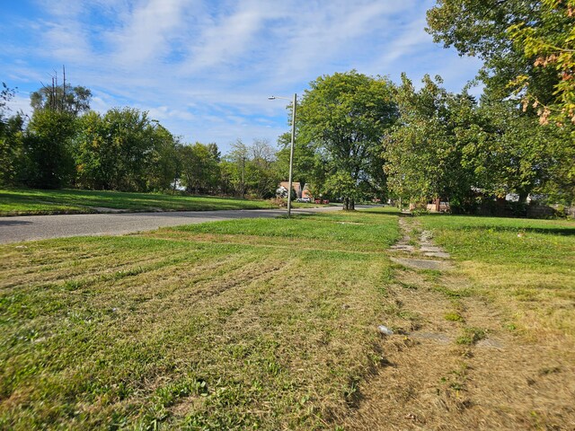 17408 Hamburg St, Detroit, MI 48205 - view of yard