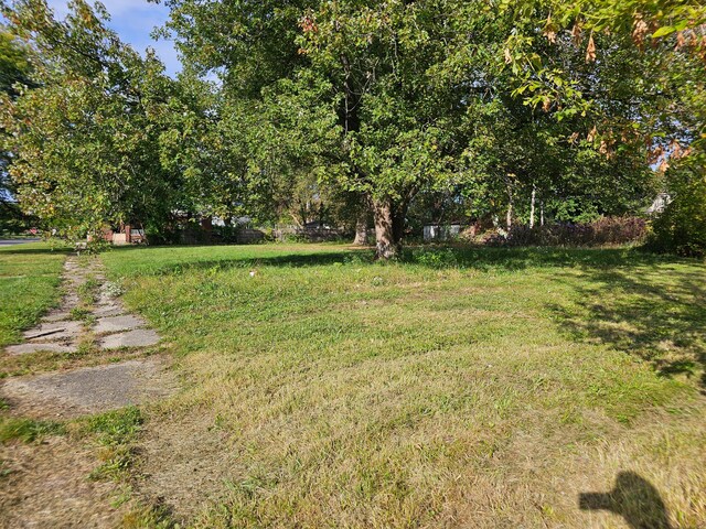 17408 Hamburg St, Detroit, MI 48205 - view of yard