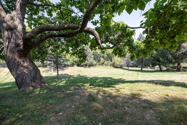 view of yard with a carport