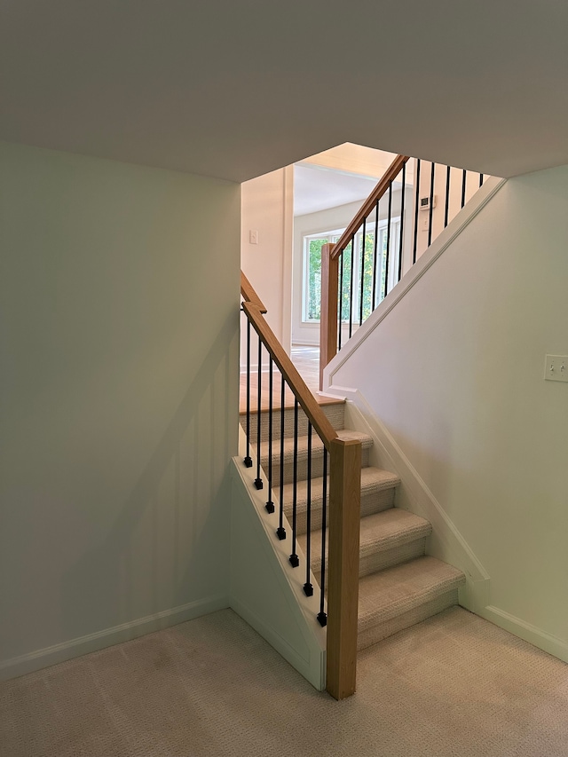 stairway with baseboards and carpet