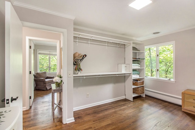 spacious closet featuring a baseboard radiator and dark hardwood / wood-style floors