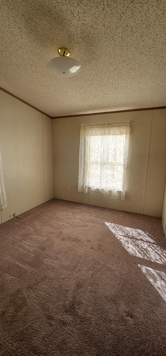 empty room with carpet flooring and a textured ceiling