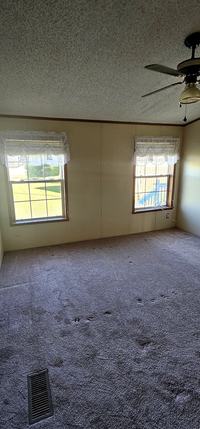 empty room featuring carpet, a textured ceiling, and ceiling fan