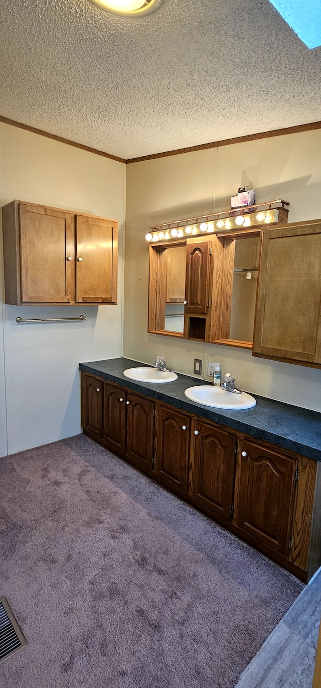 bathroom with vanity, a textured ceiling, and a skylight