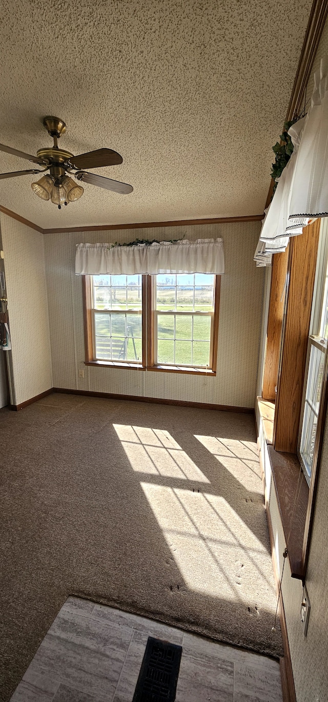 spare room with ceiling fan, light carpet, and a textured ceiling