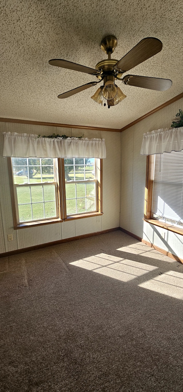 spare room with carpet flooring, plenty of natural light, ceiling fan, and a textured ceiling