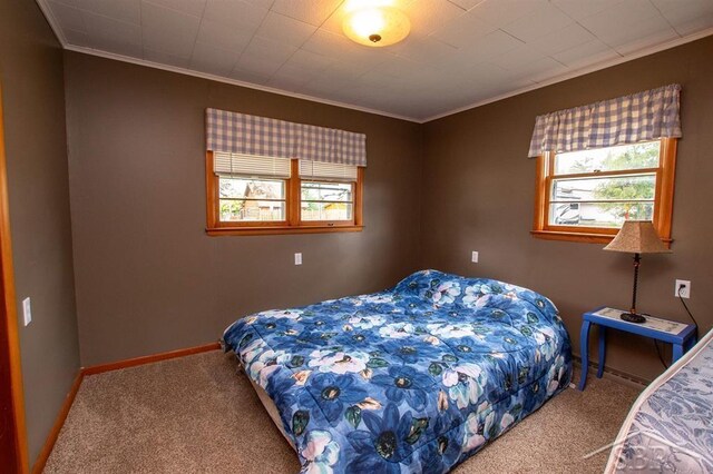 4029 Cobblestone Ct, Beaverton, MI 48612 - carpeted bedroom with ornamental molding and baseboards