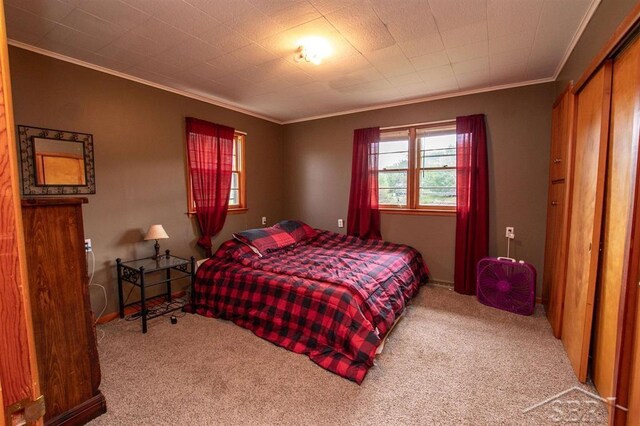 4029 Cobblestone Ct, Beaverton, MI 48612 - carpeted bedroom featuring crown molding and a closet