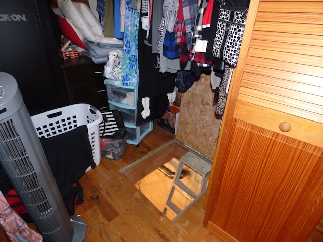 spacious closet with wood-type flooring