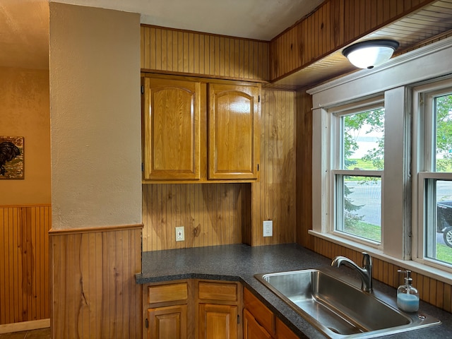 kitchen featuring wood walls and sink