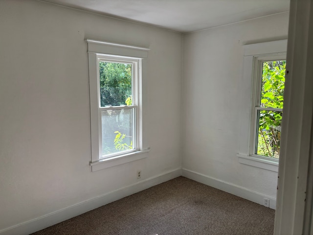 empty room featuring carpet floors and a wealth of natural light