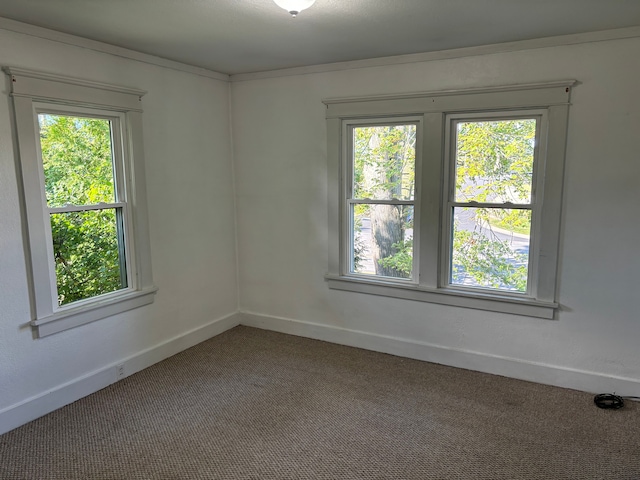 unfurnished room featuring a wealth of natural light, crown molding, and carpet floors