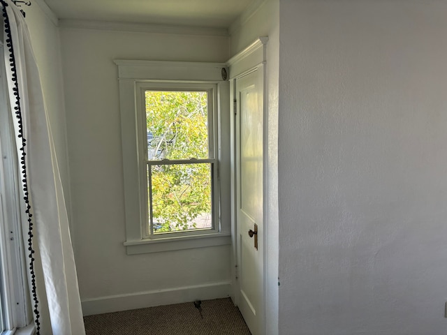 doorway to outside with carpet