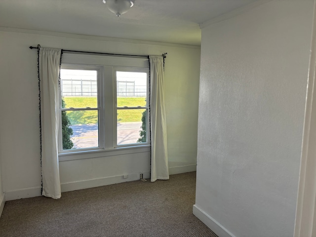 carpeted spare room featuring crown molding