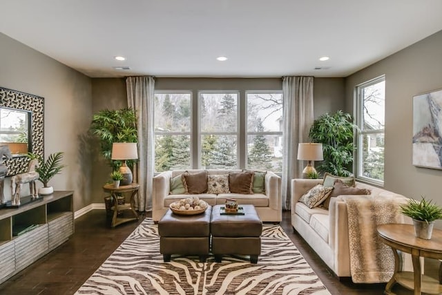 living area with dark hardwood / wood-style flooring