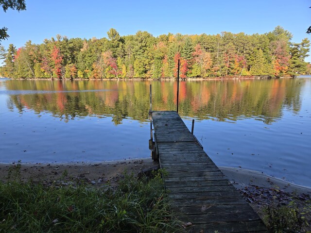 8918 W School Section Lake Dr, Mecosta, MI 49332 - dock with a water view and a forest view