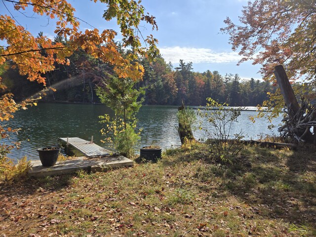 8918 W School Section Lake Dr, Mecosta, MI 49332 - dock area with a water view and a view of trees