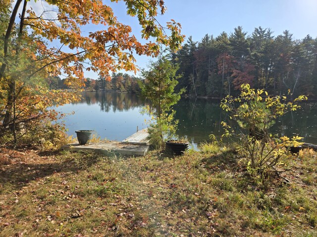 8918 W School Section Lake Dr, Mecosta, MI 49332 - dock area featuring a water view and a forest view