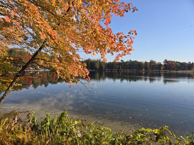 8918 W School Section Lake Dr, Mecosta, MI 49332 - water view featuring a heavily wooded area