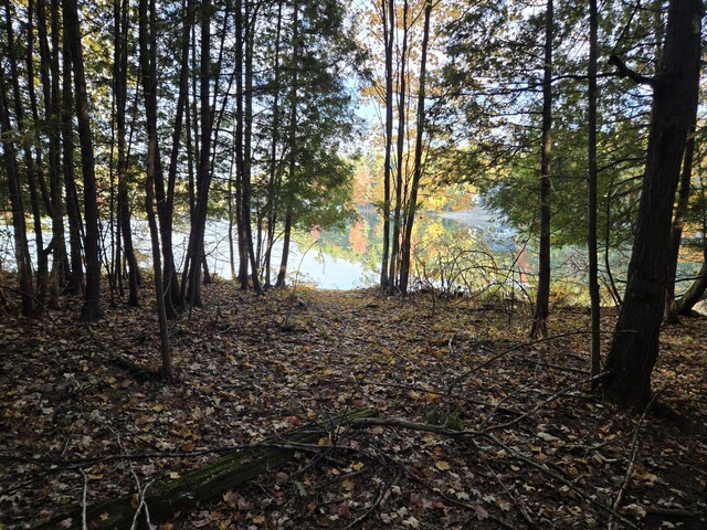 8918 W School Section Lake Dr, Mecosta, MI 49332 - water view
