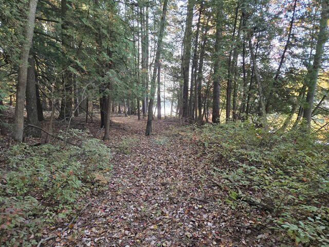 8918 W School Section Lake Dr, Mecosta, MI 49332 - view of woods