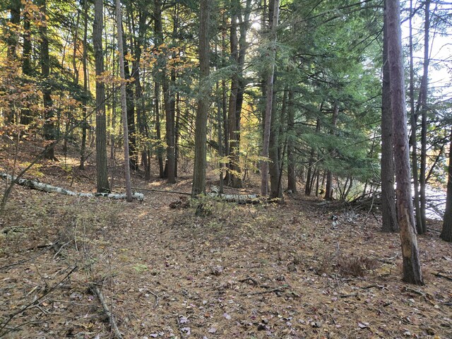 8918 W School Section Lake Dr, Mecosta, MI 49332 - view of wooded area