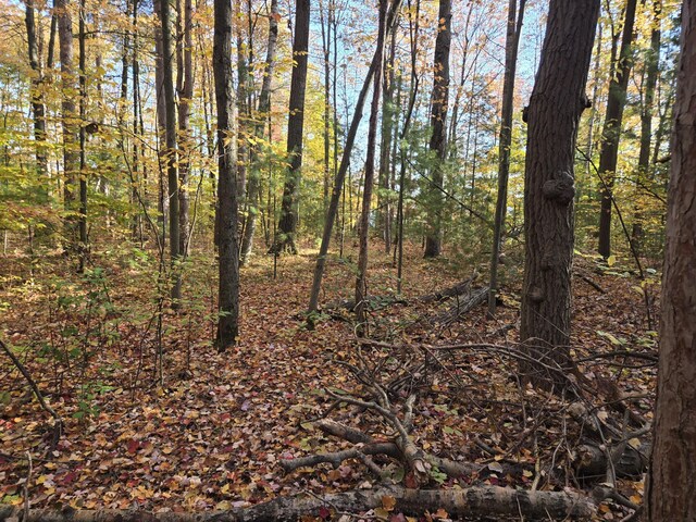 8918 W School Section Lake Dr, Mecosta, MI 49332 - view of woods