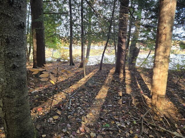 8918 W School Section Lake Dr, Mecosta, MI 49332 - view of undeveloped land