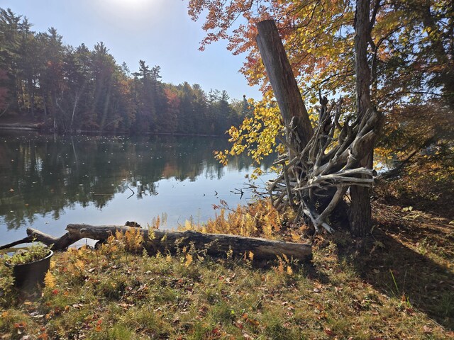 8918 W School Section Lake Dr, Mecosta, MI 49332 - water view with a forest