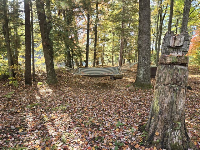 8918 W School Section Lake Dr, Mecosta, MI 49332 - view of yard