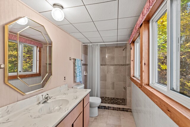 8918 W School Section Lake Dr, Mecosta, MI 49332 - bathroom with toilet, vanity, and tiled shower