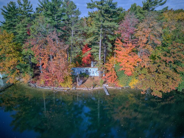 8918 W School Section Lake Dr, Mecosta, MI 49332 - aerial view of property and surrounding area with a heavily wooded area