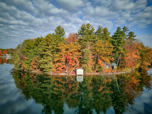 8918 W School Section Lake Dr, Mecosta, MI 49332 - aerial view of a forest and a nearby body of water
