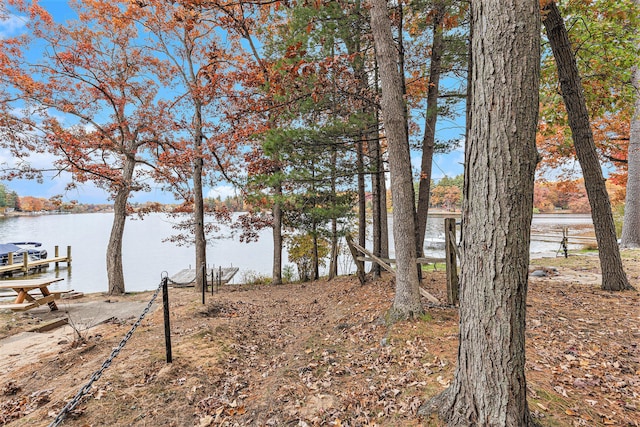 view of water feature featuring a boat dock